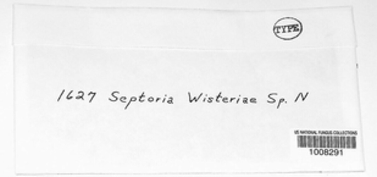 Septoria wisteriae image